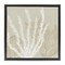 Stupell Industries Neutral Coral on Beige Floating Frame By Yvette St. Amant